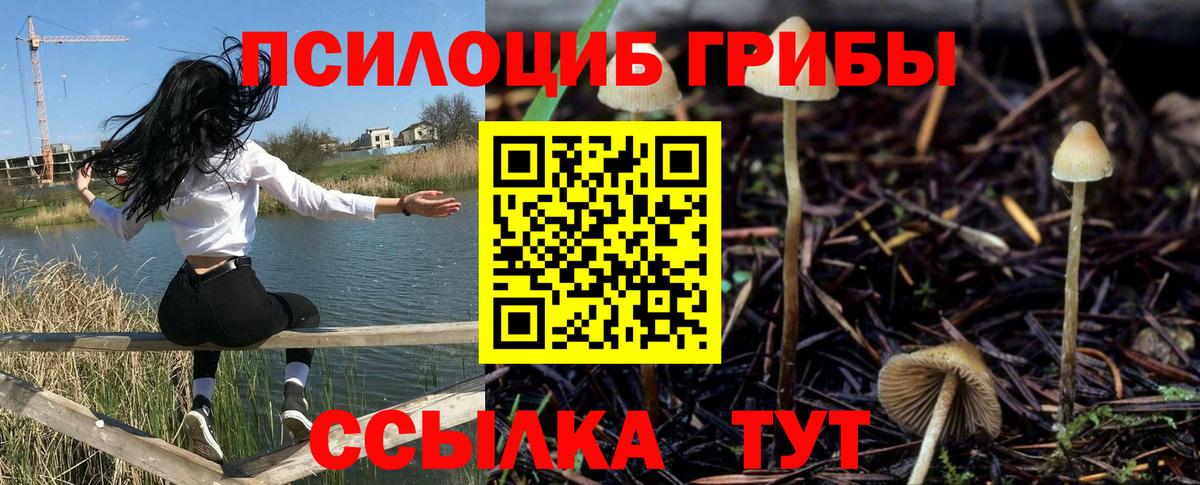 Тольятти  Псилоцибиновые грибы ЛСД  Галлюциногенные грибы Magic Shrooms  Вход с VPN 