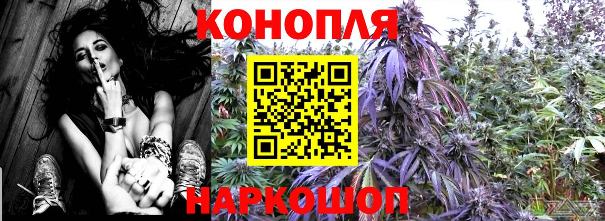 Шишки марихуана конопля Тольятти